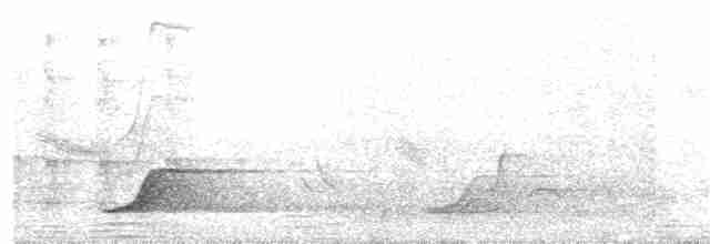 Pale-browed Tinamou - ML131171001
