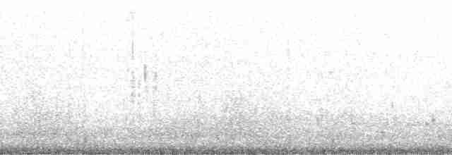 kulík bledý - ML131252