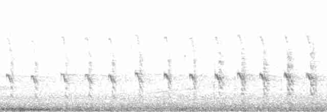 Arctic Tern - ML131253
