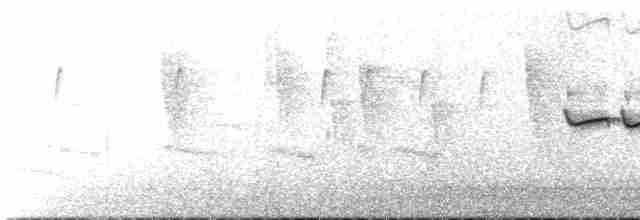 Кустарниковая эуфония - ML131261621