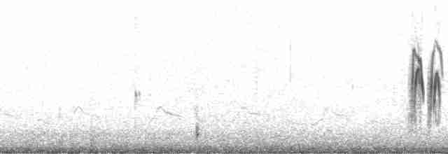 Barn Swallow (American) - ML131268