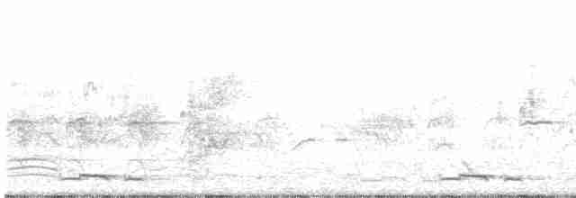 holoubek proužkokrký - ML131316101