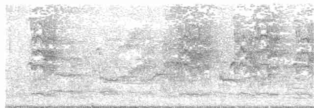 Медолюб-сережник східний - ML131316811