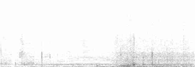 Pacific Golden-Plover - ML131353061