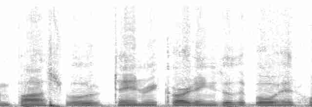 bowhead whale - ML131372