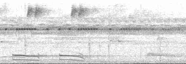Carnifex de Buckley - ML131408