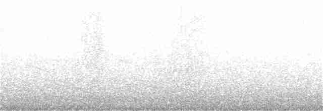 White-banded Tyrannulet - ML131455581