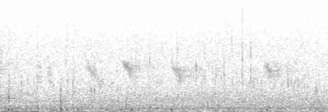 Northern Wheatear (Eurasian) - ML131475