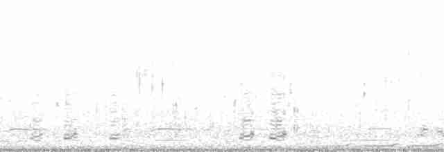 אווז לבן-מצח - ML131493