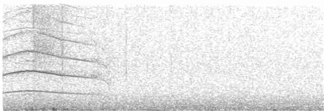 White-eyed Buzzard - ML131498111