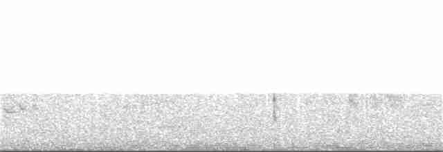 Rotsteiß-Spottdrossel - ML131513431