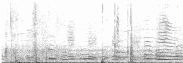黃嘴天鵝 - ML131514311