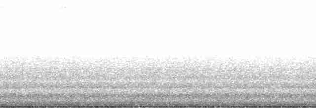 gray shieldback - ML131522
