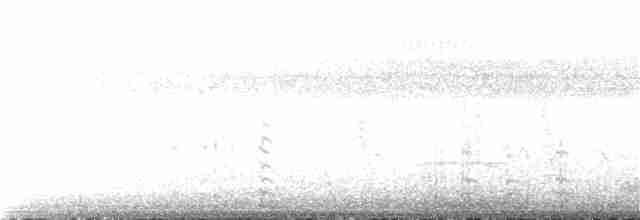 Pied-billed Grebe - ML131526991