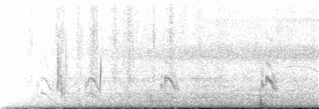 Great Egret - ML131527131