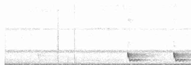 Large-tailed Nightjar - ML131536911