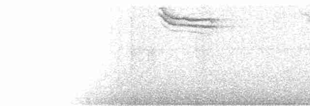 Russet-tailed Thrush - ML131701621