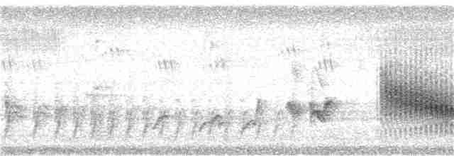 Йора чорнокрила - ML131702351