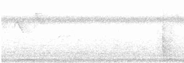 Cratérope affin - ML131703041