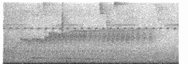 Diken Kuyruklu Derekoşarı - ML131773611