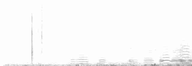Cygne trompette - ML131777181