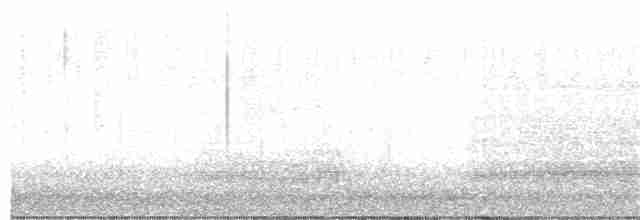 kakadu běloocasý - ML131780651