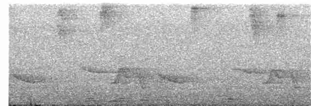 Gri Göğüslü Çıtkuşu - ML131785411