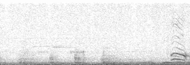 Синалойская ворона - ML13184