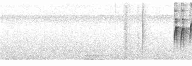 Мухолов-клинодзьоб плямистий - ML131931101