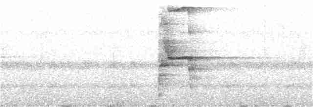 Chestnut-eared Aracari - ML131931131