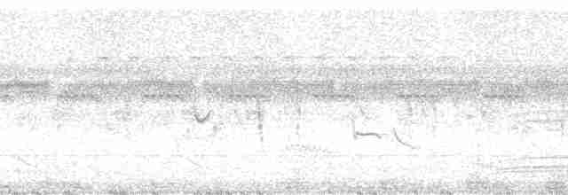Great Reed Warbler - ML1320