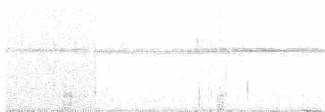morčák velký - ML132015871