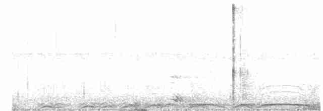 Chouette rayée - ML132032011