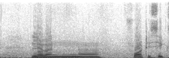 אלקית דררתית - ML132049