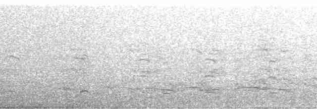 Красноногая говорушка - ML132057