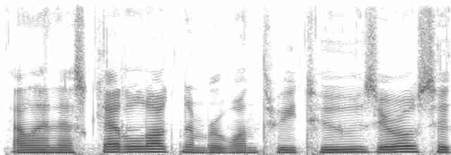 Красноногая говорушка - ML132061