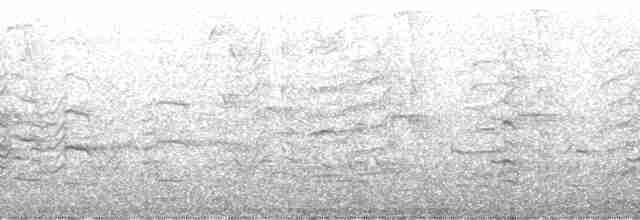 Красноногая говорушка - ML132064