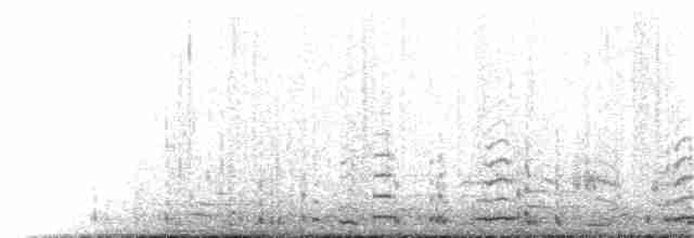 dvergsvane (columbianus) - ML132073051