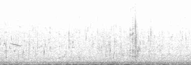 Perdeli Kumkuşu - ML132103