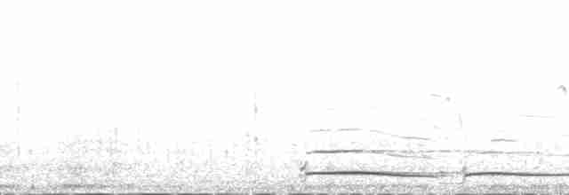 Гагара білодзьоба - ML132111