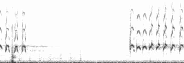 Whimbrel (Hudsonian) - ML132116
