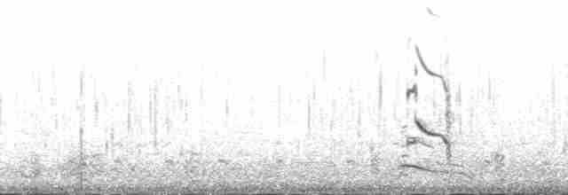 Arctic Tern - ML132121