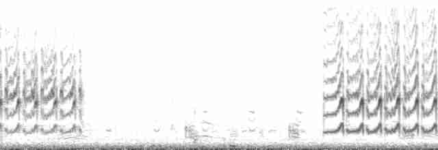 jespák srostloprstý - ML132138