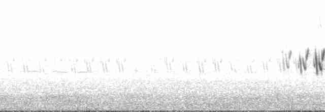 Arctic Warbler - ML132163