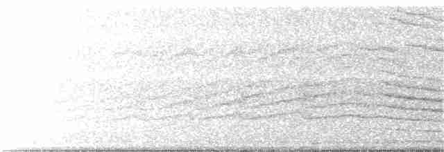 vlhovec velkoocasý - ML132187881