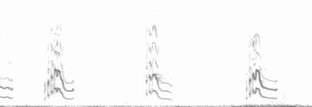 Uzun Kuyruklu Korsanmartı - ML132205