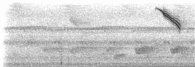 Azure-shouldered Tanager - ML132231011