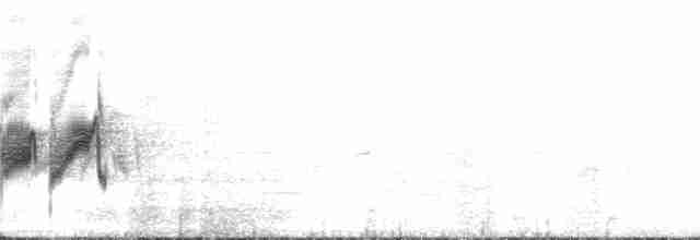 Лесной мухолов - ML132247