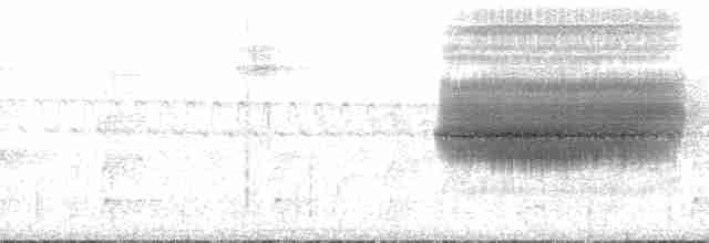 Turuncu Ardıç - ML132253