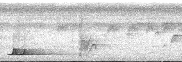Black-capped Tinamou - ML132269
